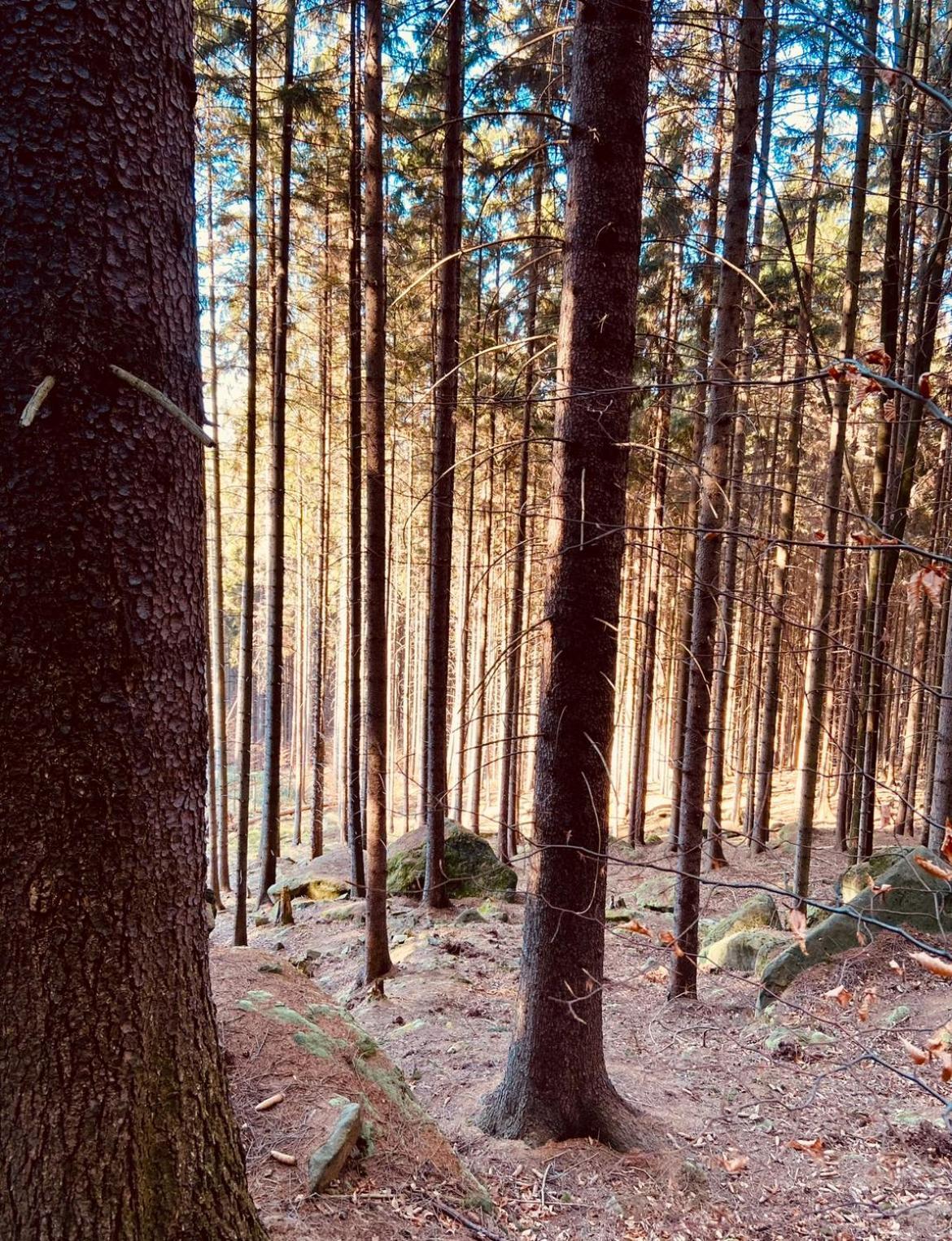 Vila Stodola Na Widoku Radkow Exteriér fotografie