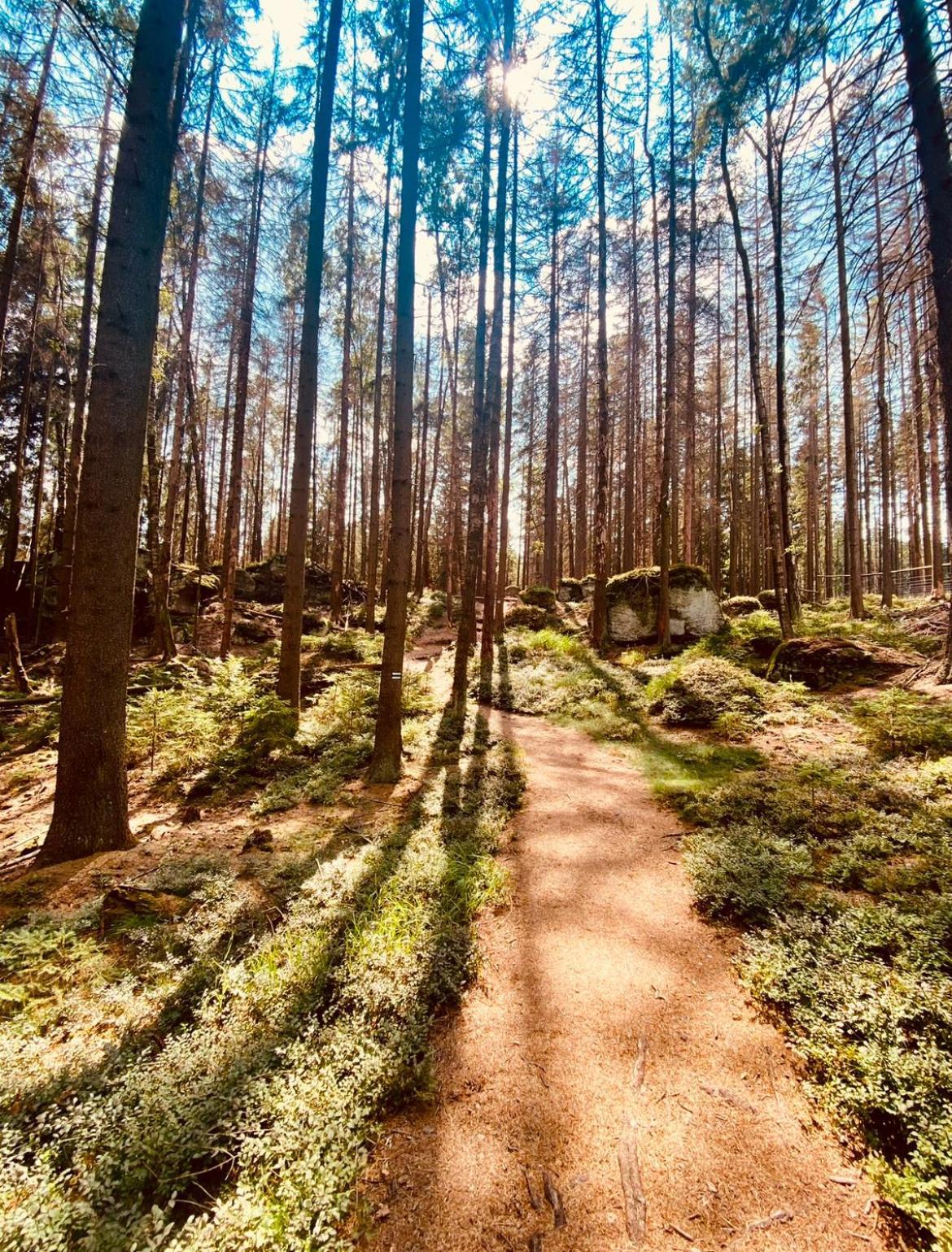 Vila Stodola Na Widoku Radkow Exteriér fotografie